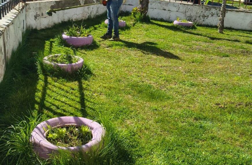 Mantenimiento y corte de pasto en el Jardín de Infantes N.º 21 Aluen