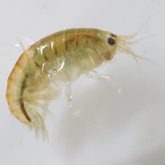 4HDHMHTHEHEZXLAZILWZ5LBZXLUZ4LJHWHBZML9ZRLAHZLVHKL1ZMLUZIL5ZQLGZGHHR7L4Z0L2ZXHTHZL8Z7H8ZKL8Z