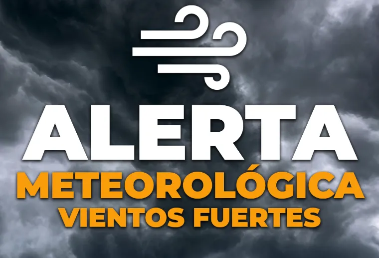 Captura desde 2025-11-17 04-55-24