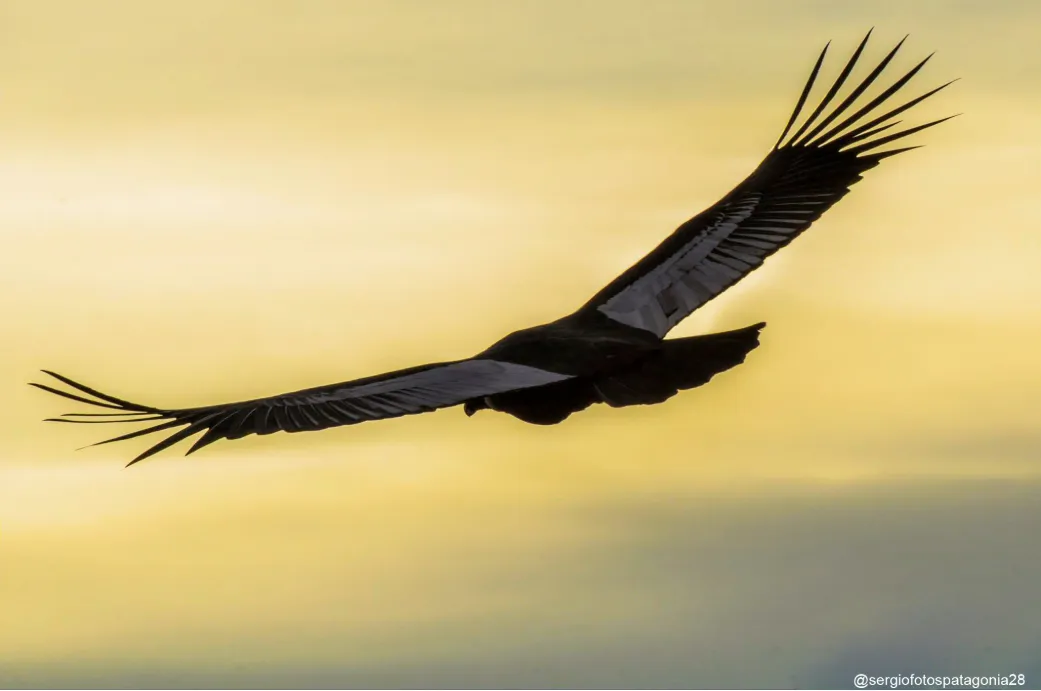 Captura desde 2025-05-18 08-20-42