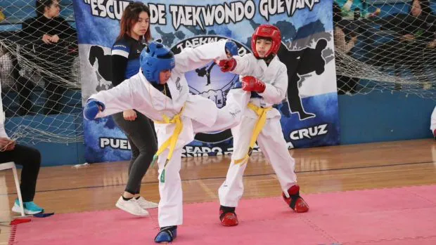 taekowndo