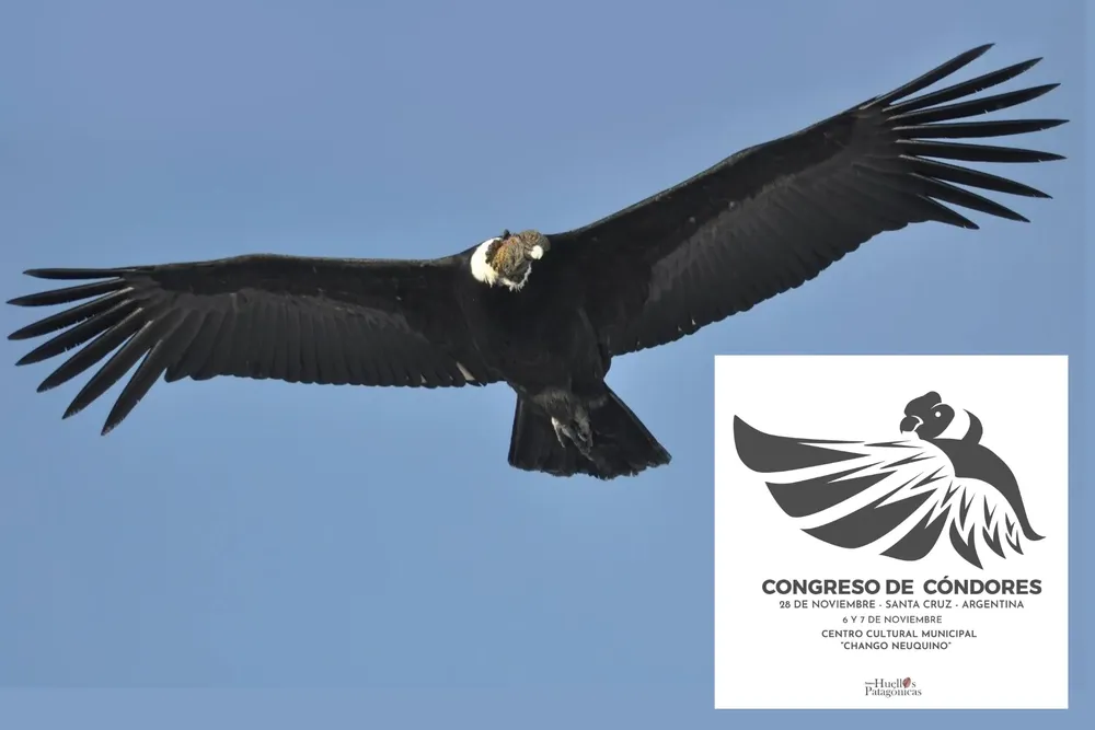 Tarjeta de Presentación Diseñadora Web Minimalista Tipográfico Blanco y Negro (32)