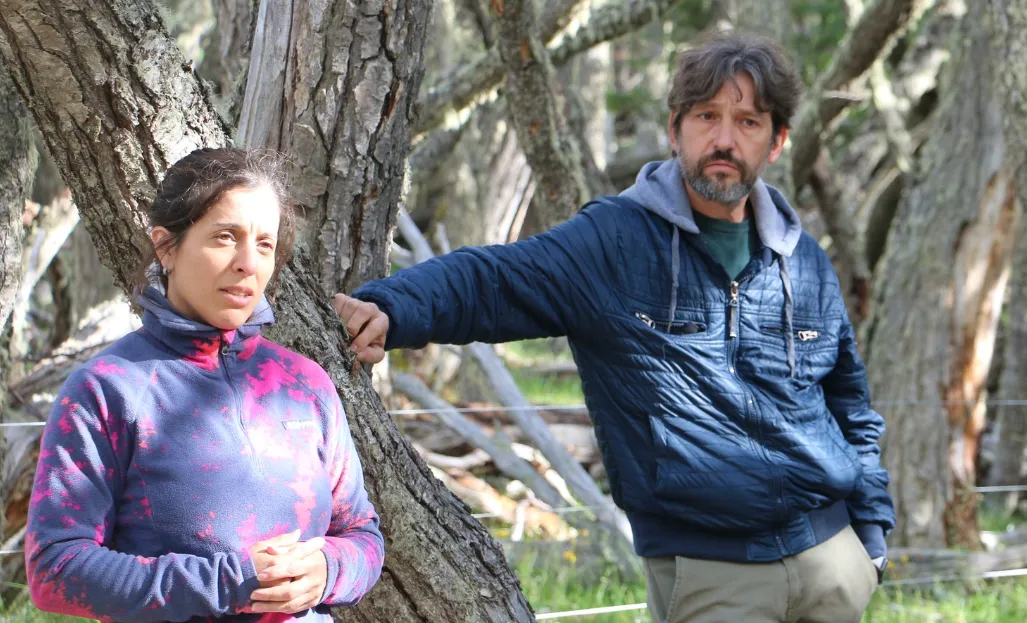 Captura desde 2025-10-02 07-00-04