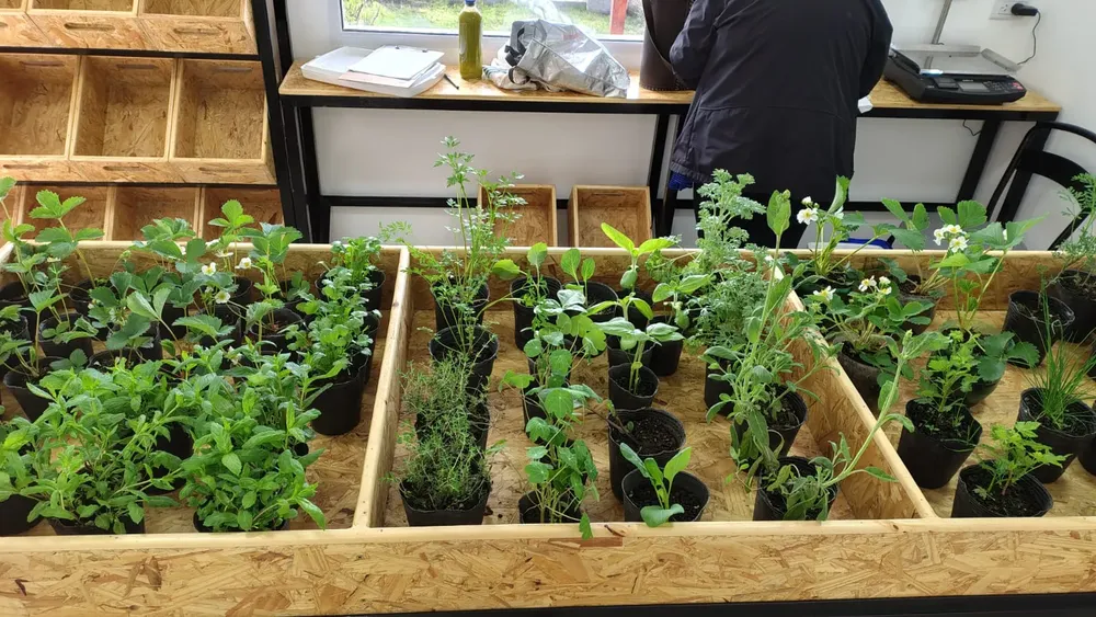 WhatsApp Image 2025-10-20 at 11.55.46 (14)