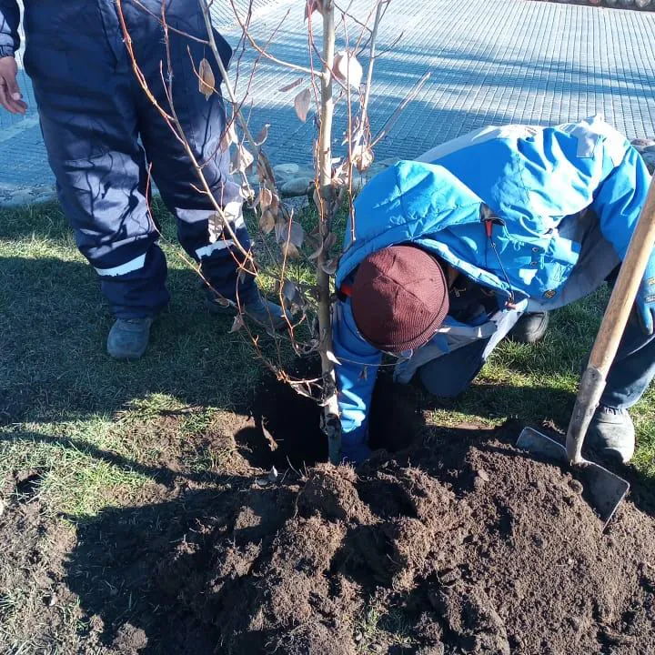 552642925_1220461533449881_402274794425885336_n