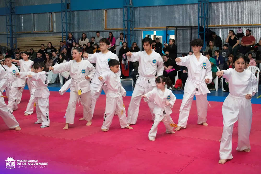 taekwondo