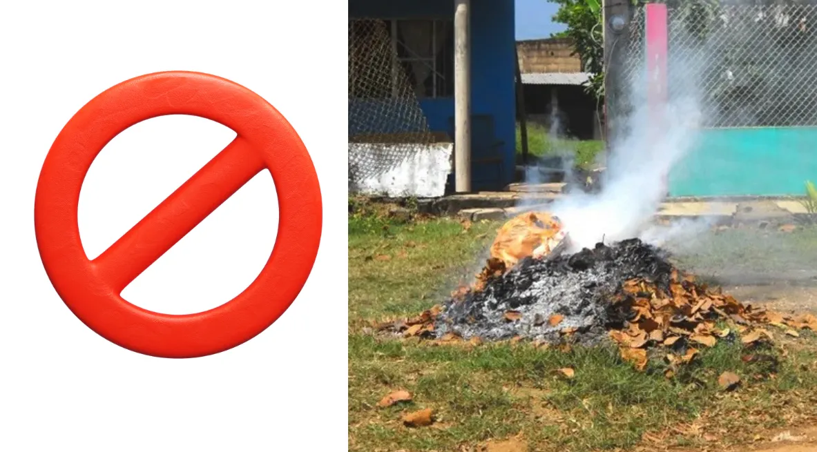 Captura de pantalla_20260128_215941