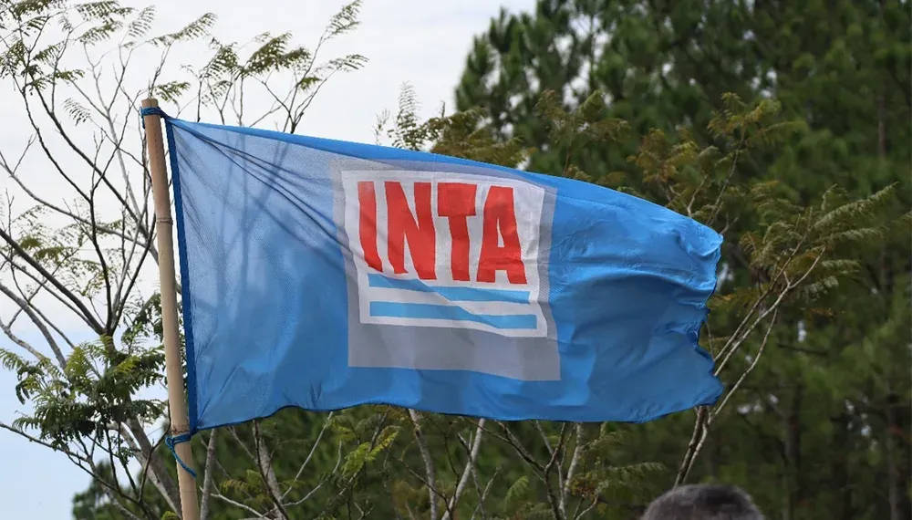 inta