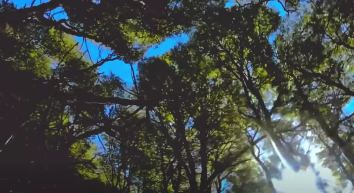 Captura de pantalla_20260226_095232