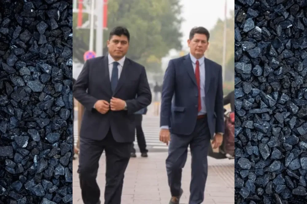 Tarjeta de Presentación Diseñadora Web Minimalista Tipográfico Blanco y Negro