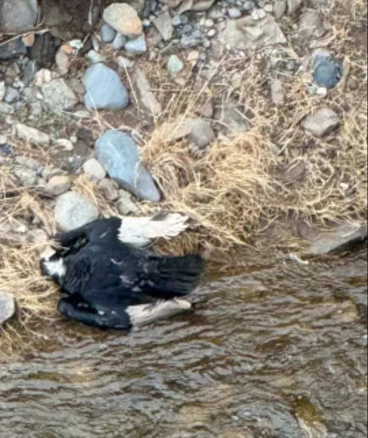 546054386_122108663012993349_3704333743895493933_n