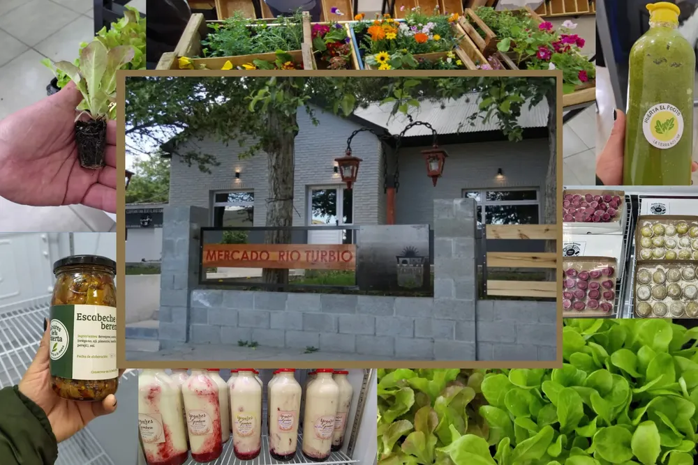 Tarjeta de Presentación Diseñadora Web Minimalista Tipográfico Blanco y Negro (34)