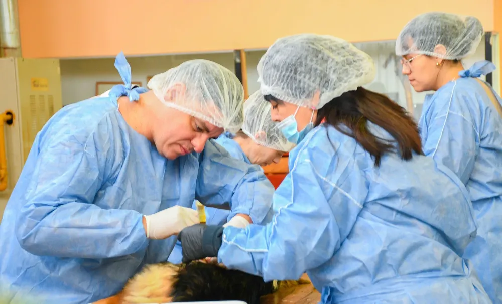 multimedia.grande.9fb1ac2d8379b170.Z3JhbmRlLndlYnA=